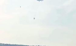 Tekirdağ'da anız yangını ormana sıçradı; 3 saatte kontrol altında