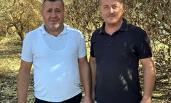 Tekirdağ'da yanan orman temizleniyor, kesilen ağaçlar istifleniyor