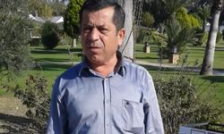TIR ile çarpışıp alev alan otomobilin sürücüsü öldü/ Ek fotoğraf