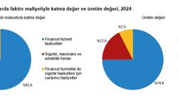 TÜİK: 2024'te 21 bin 463 mali aracı kuruluş faaliyet gösterdi