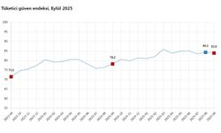 TÜİK: Tüketici güven endeksi yüzde 0,4 azaldı