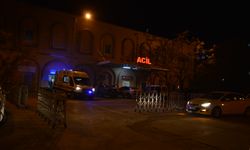 Üst geçidi kullanmayan yayaya otomobil çarptı