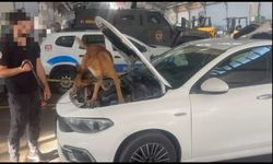 Van'da otomobilde sahte döviz ele geçirildi