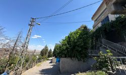Yerde hareketsiz yatan keçiye dokununca akıma kapılıp öldü