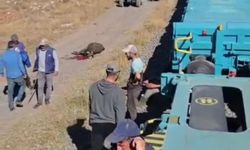 Yük treni büyükbaş sürüsüne çarptı; 5 inek öldü