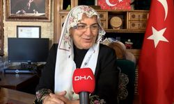 14 ambalajlı su üretim tesisinin bulunduğu 'su şehri' Bursa'nın içecek suyu kalmadı
