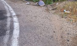 Adana'da otomobil köprüden düştü; 2 yaralı