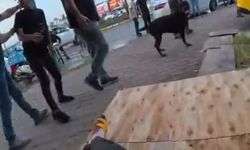 Ağızlıksız dolaştırılan köpek 2 kişiyi yaraladı; o anlar kask kamerasında
