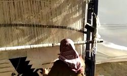 Anadolu'nun kilimlerini yeniden dokutturup Avrupa'ya gönderiyor
