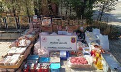 Ankara'da 1 ton 200 kilo bozuk et ve tavuk ele geçirildi