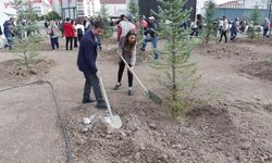 Ankara'da Filistinli şehit gazeteciler anısına fidanlık oluşturuldu