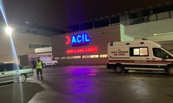 Ankara'da parkta baygın bulunan 2 kız çocuğundan 1'i hayatını kaybetti