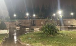 Ankara'da parkta baygın bulunan 2 kız çocuğundan 1'i hayatını kaybetti/Ek fotoğraflar