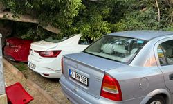 Antalya'da ağaç 5 otomobilin üzerine devrlidi