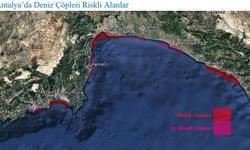 Antalya'da 'deniz çöpleri' seferberliği