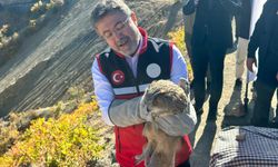 Bakan Yumaklı: Kovan varlığında 3'üncü sırada, bal üretiminde 2'nci sıradayız (2)