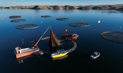 Bakan Yumaklı: Kovan varlığında 3'üncü sırada, bal üretiminde 2'nci sıradayız (3)