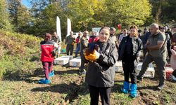 Bartın'da kahverengi kokarca ile mücadele için doğaya 250 sülün salındı