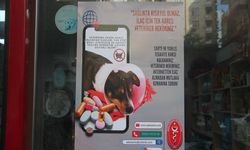 ‘Bilinçsiz ilaç tüketimi hayvanlarınızın canına mal olabilir'