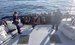 Bodrum'da 35 kaçak göçmen yakalandı