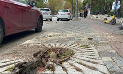 Bursa'da lodos etkili oldu; ağaçlar devrildi, çatılar uçtu