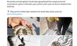 Cebinden yavru piton çıkan kişiye para cezası