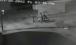 Çelik kasa hırsızı, iç çamaşırından alınan DNA eşleştirmesiyle yakalandı