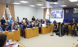 Cevdet Yılmaz: Bütçemiz, refahı toplumun tüm kesimlerine yaymayı hedeflemektedir