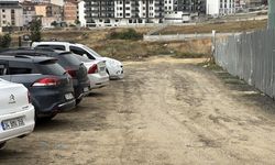Davullu- manili bozuk yol tepkisi