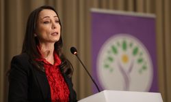 DEM Parti'li Bakırhan: Süreç yasalarla, haklarla, özgürlüklerle gelişmeli