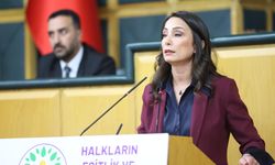 DEM Parti'li Hatimoğulları: Komisyon somut adımlara yoğunlaşmalı
