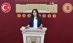 DEM Parti'li Koçyiğit: Tezkerelere 'hayır' oyu vereceğiz