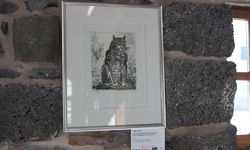 Diyarbakır Kültür Yolu Festivali'nde ‘Picasso' sergisi ilgi gördü; müzelere ziyaretçi sayısı arttı / Ek fotoğraflar