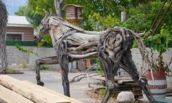 Doğanın atıklarını sanata dönüştürüyor