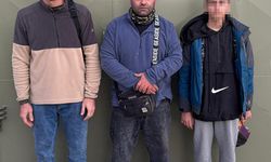 Edirne'de 23 kaçak göçmen yakalandı
