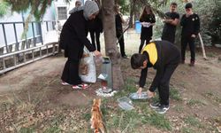 İstanbul - Demirören Medya ve Teknoloji MTAL öğrencilerinden sokak hayvanlarına mama desteği