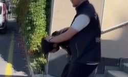 İstanbul- Fatih'te iş yerindeki kasayı açamayınca taşıyarak çaldılar