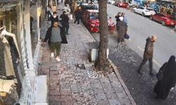 İstanbul - Fatih'te otomobilin ezdigi köpek Kuki öldü; o anlar kamerada