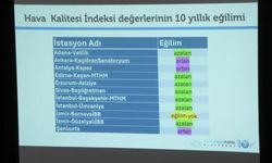 İstanbul - 'İstanbul'un soluduğu hava Dünya Sağlık Örgütü'nün önerdiğinin 2,5 katı daha kirli'