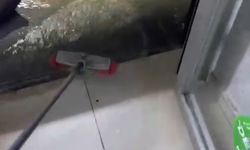 İzmir ve Manisa'da sağanak yağış etkili oldu