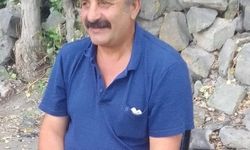 Kayseri'de üzerine tomruk düşen işçi öldü