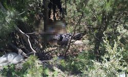 Kazadan 26 saat sonra bulunan teknisyen, 110 gün süren yaşam savaşını kaybetti