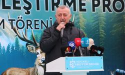 Kocaeli'de 7 kızılgeyik daha doğaya salındı