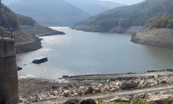 'Kuraklık devam ederse, tarım şehri Bursa'da meyve ve sebzede yetiştirilemeyecek' (2)