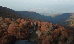 Kuzuyayla Tabiat Parkı'nda sonbahar güzelliği