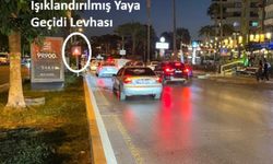 Laçin'in öldüğü kazanın bilirkişi raporu çıktı: Sürücü tam kusurlu, Laçin kusursuz