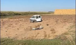 Mardin- Hafif ticari araç ile motosiklet çarpıştı; 1 ölü, 1 ağır yaralı /Video eklendi