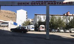 Mardin'de çarpışan otomobillerden biri durağa daldı: 4 yaralı /Video eklendi