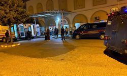 Mardin'de otomobilin çarptığı eşek ile üzerindeki kişi yaralandı