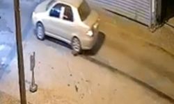 Muğla'da otomobilin altında sürüklenen oklu kirpi öldü / Ek fotoğraflar